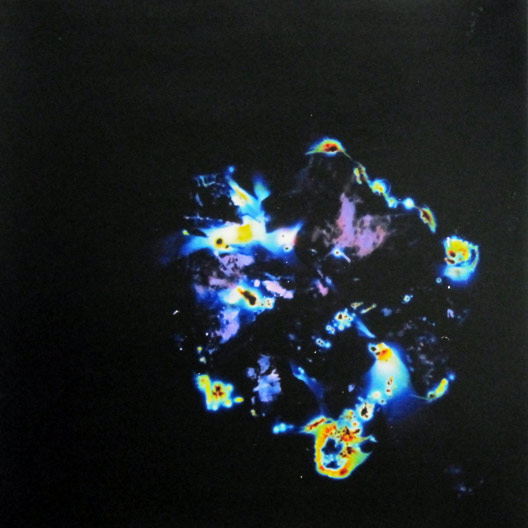 jeremy-shaw-thumb-102613