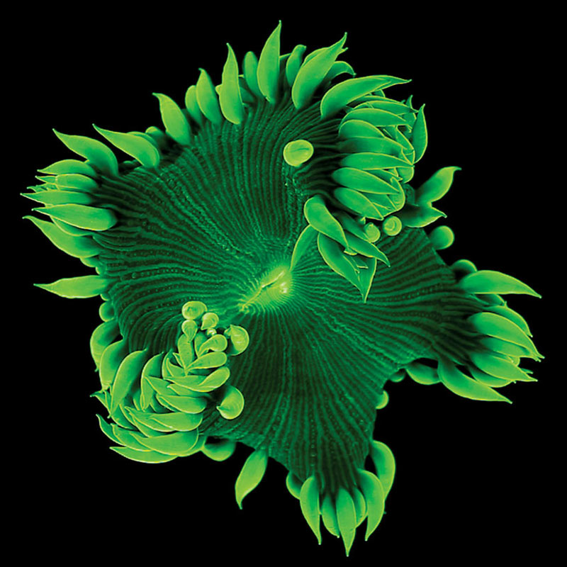 new-frontier-sundance-th-102377