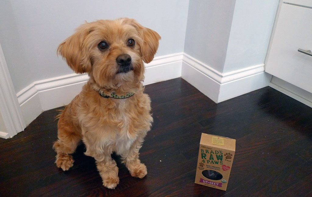 brads_raw_paws_5.jpg