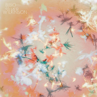bibio-a-tout.jpg