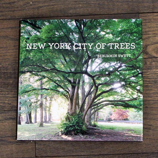 new_york_city_of_trees_th-104790