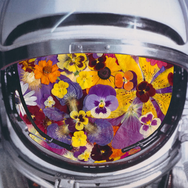 bamart-paddle8-th3-106197