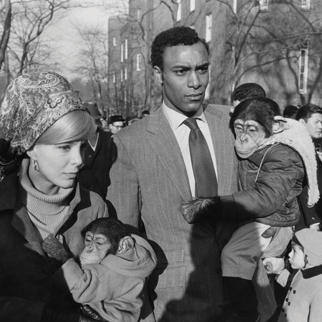 sfmoma_winogrand_thumb-106422