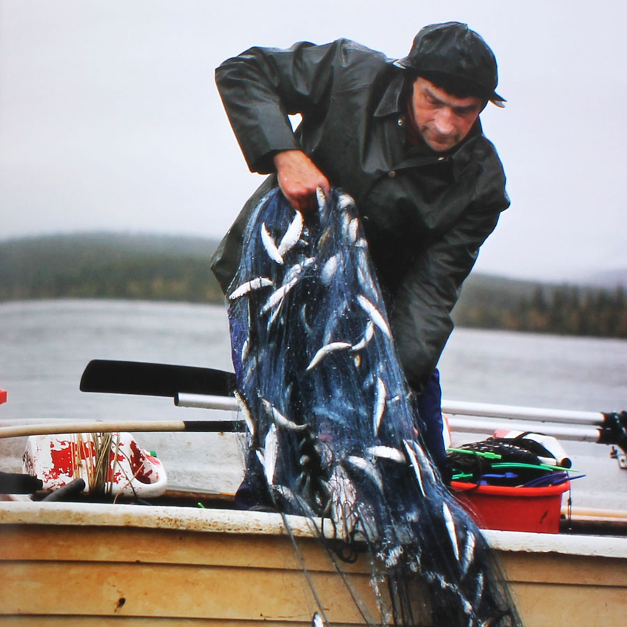 cook-it-raw-thumb-105728