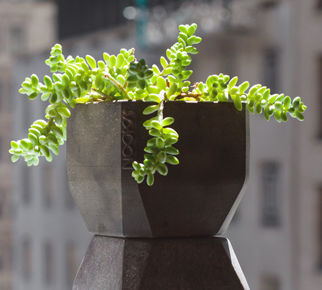 pothra_by_nooka_thumb-106845