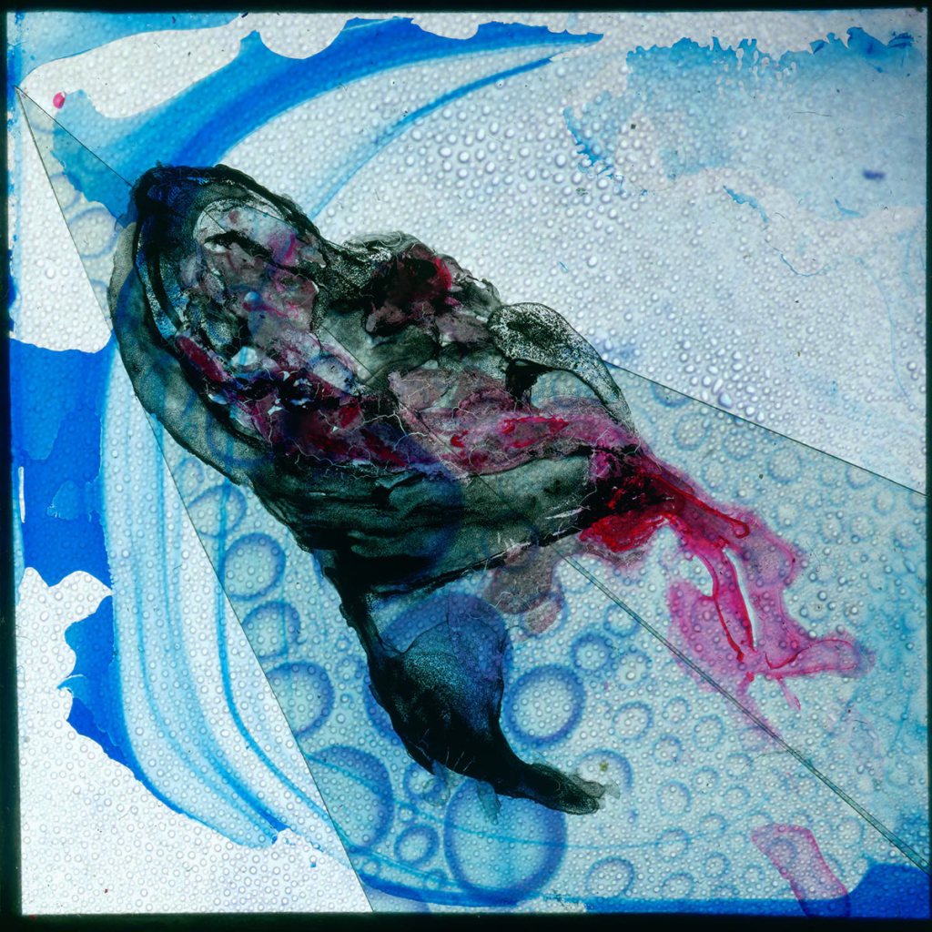 ellengallagher-thumb-109410