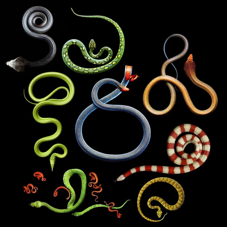 serpentine-mark-laita-108625