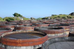 ardbeg-whisky-casks-110365
