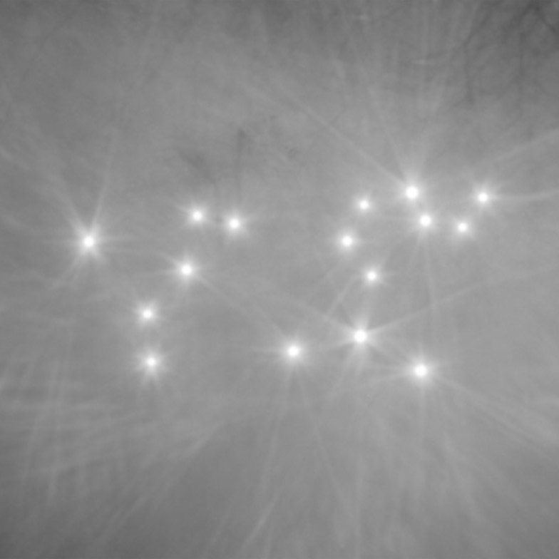 risdphotographyshow-thumb2-110267