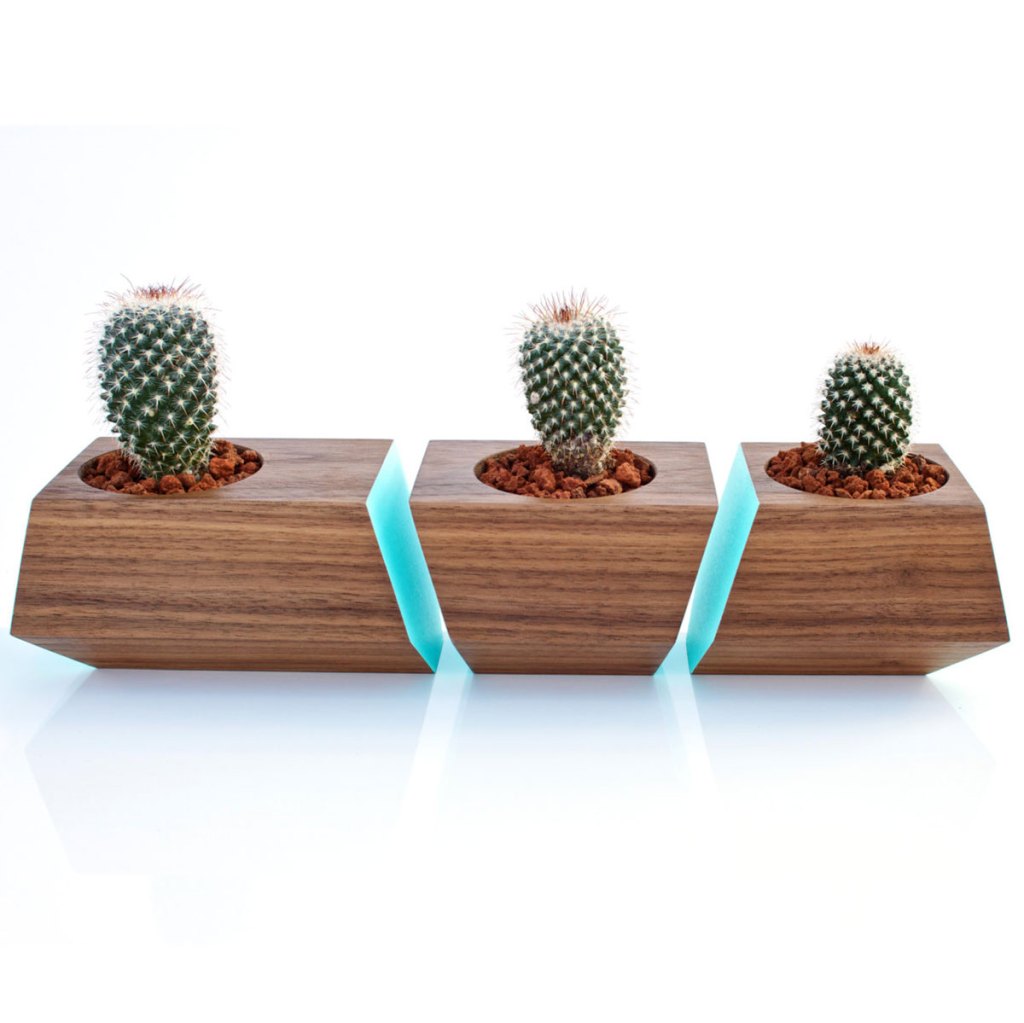 boxcarsucculentplanters-gg-110676