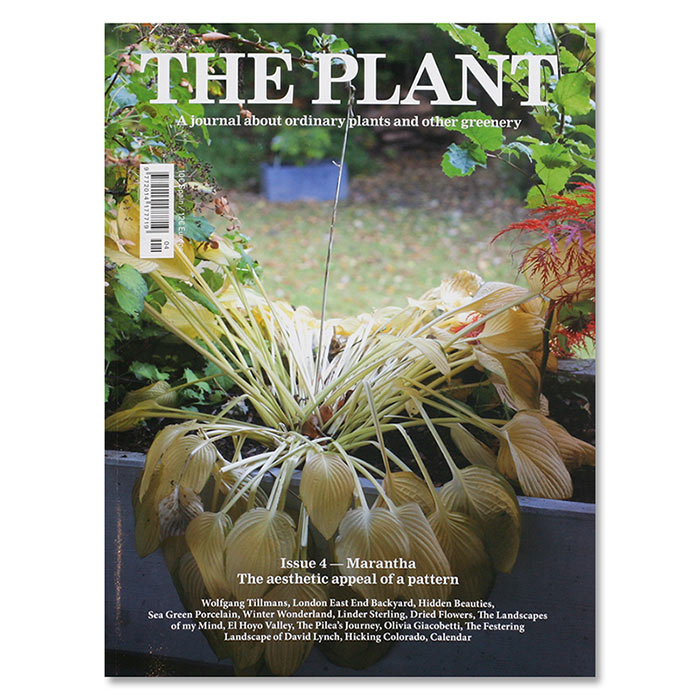 theplant_issue4-109194