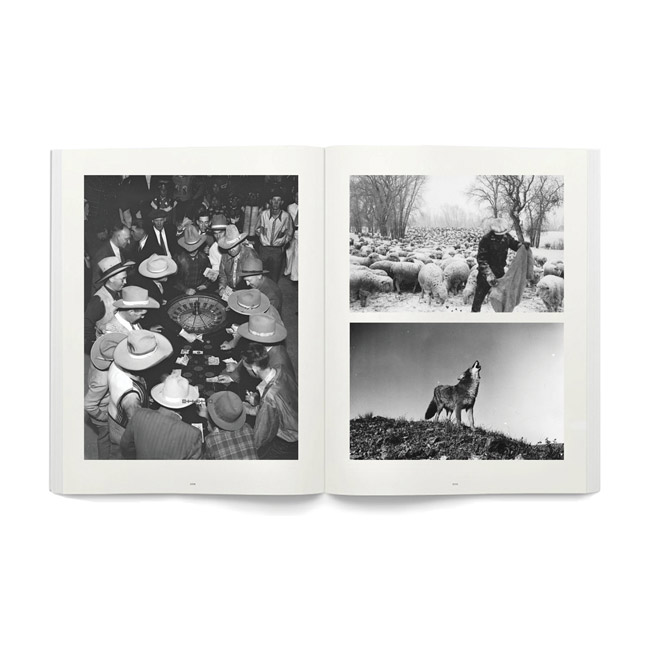 politik-magazine-thumb-111693