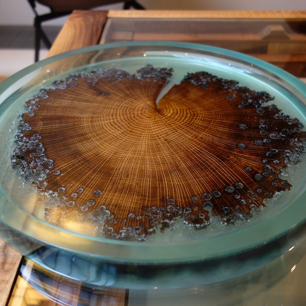 alcarol-burano-plate-114728