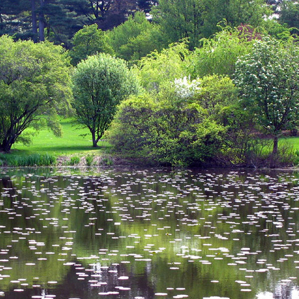 bostonspotlight-thumb-115631
