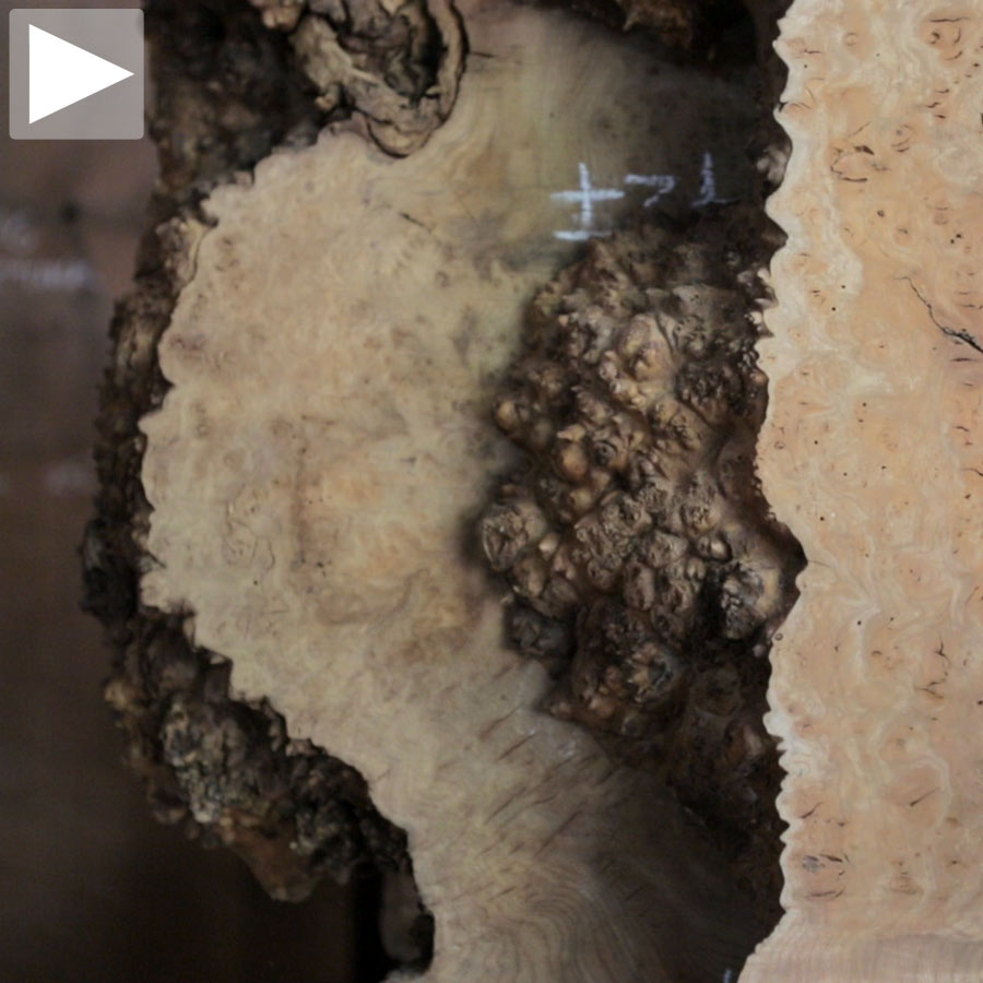 nakshima_thumb-115790