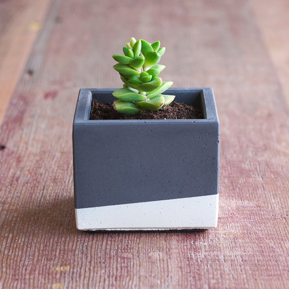 nystromgoodsplanter-gg-117132