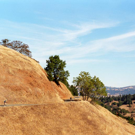 rapharetreat-gg-117134