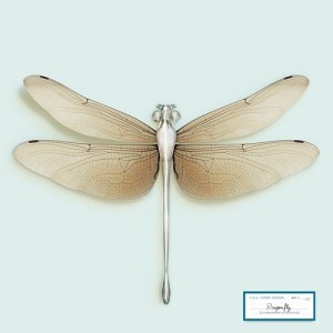 vincentfournier-gg-116778