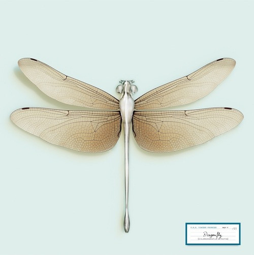 vincentfournier-gg-116778