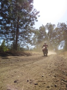 wc05-dust-rider-thumb-233x310-71557-117378