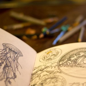 bamboo_bay-thumbnew-116375