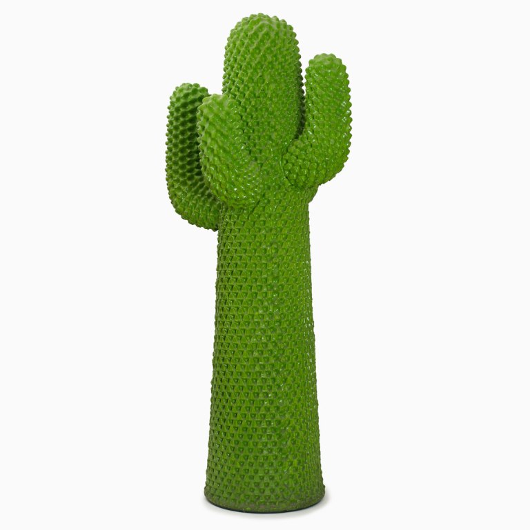 cactus-larcobaleno-117259