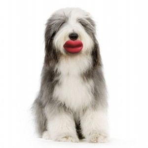 lipsdogtoy-gg-117409