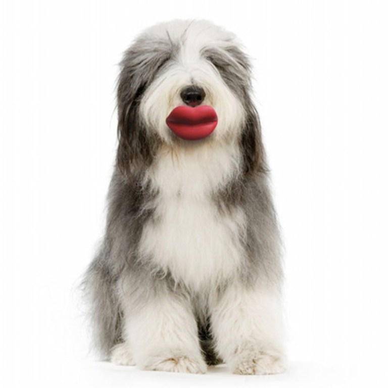 lipsdogtoy-gg-117409