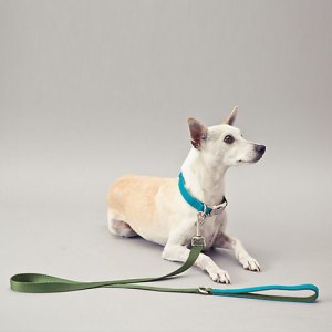 ware-dog-two-tone-leash-117510