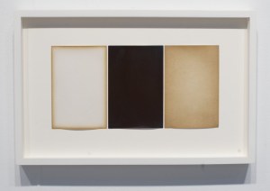 alisonrossiter-1-118018