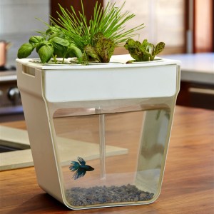 aquaponics_aquafarm-gg-117982