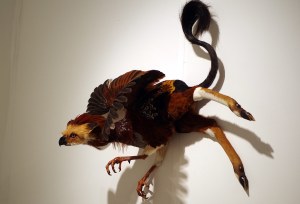 beast-and-birds-10-118104