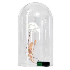 dandelight-gg-117914