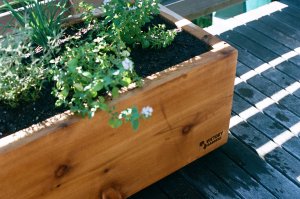 victory-gardens-3-117715