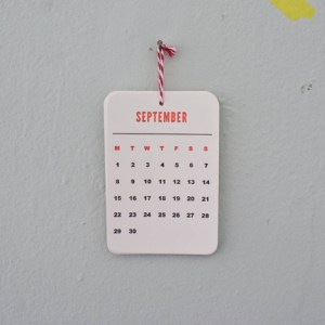 tiny-calendar-119010