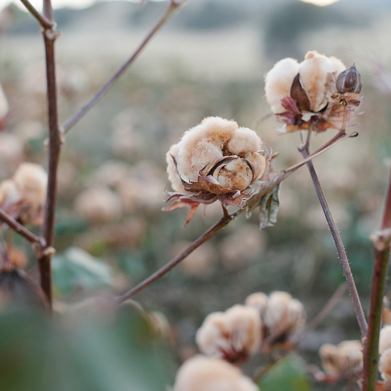 voices-of-industry-thumb2-119241