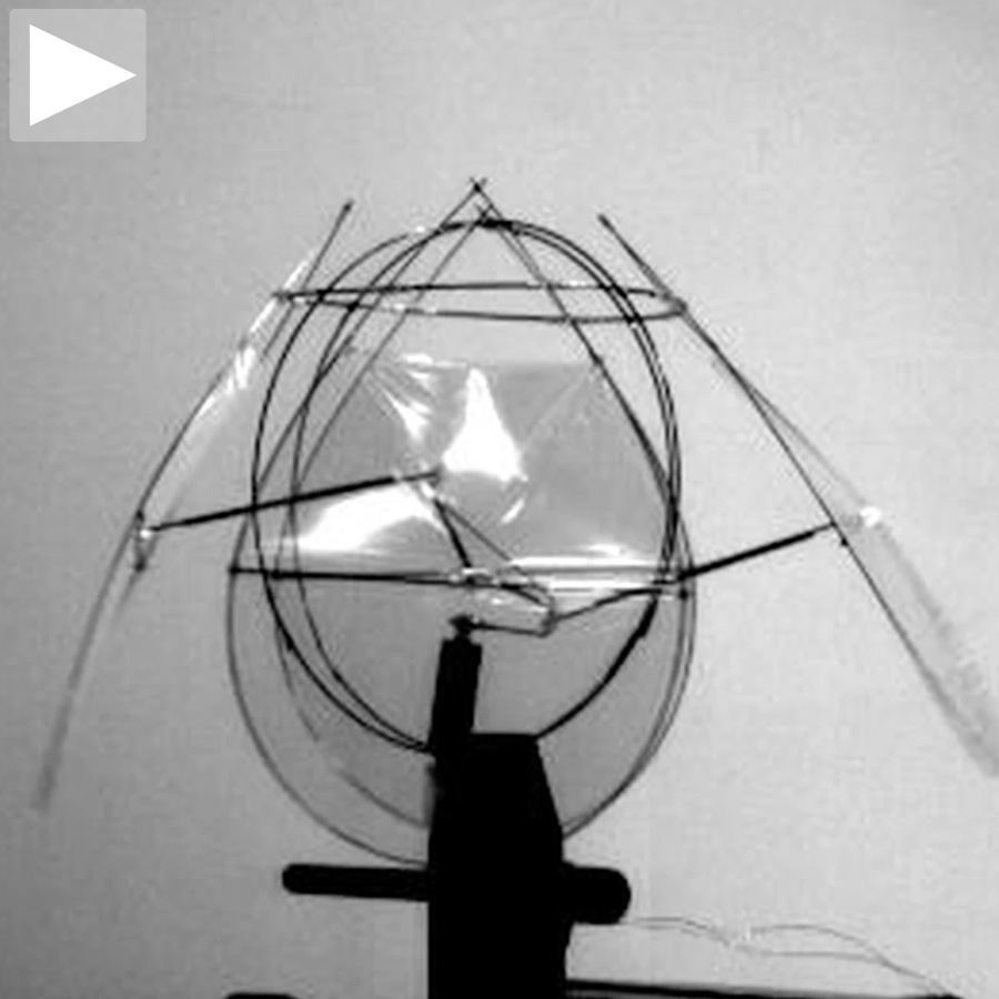 nyu_lab_thumb-120746