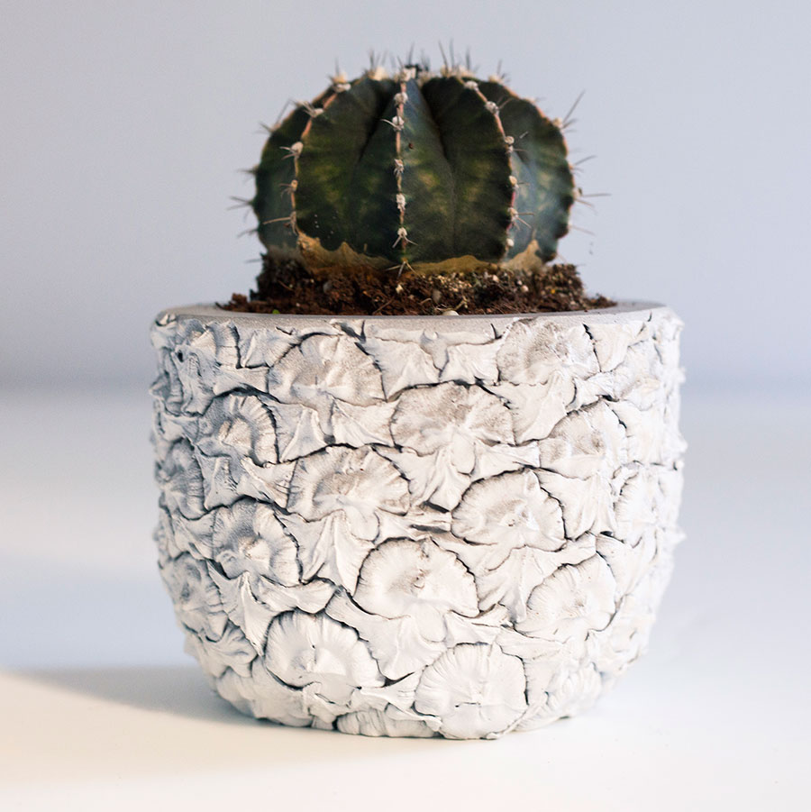 of-a-kind-chen-chen-kai-williams-thumb-121377