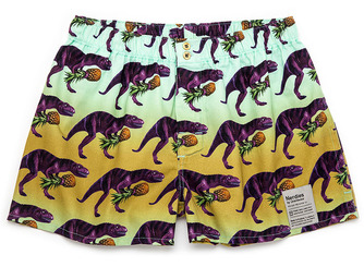 unerdwear-boxers-dinocoloda.jpg