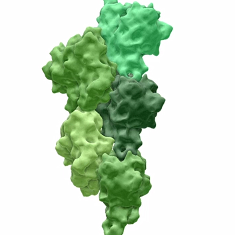 molecularflipbookthumb-122762