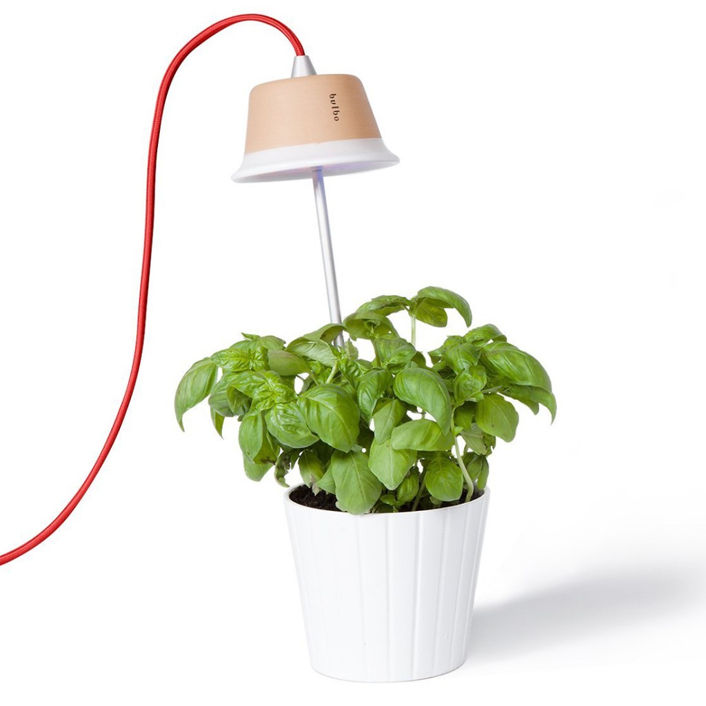bulbo-cynara-growing-light-124561