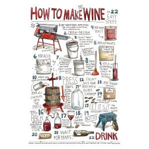how-to-make-wine-print-124525
