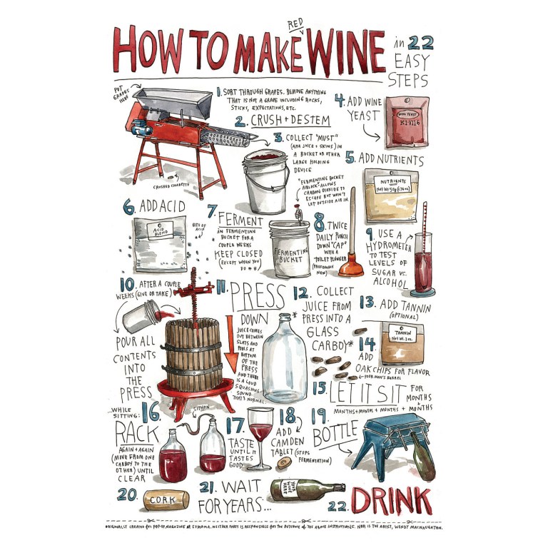 how-to-make-wine-print-124525