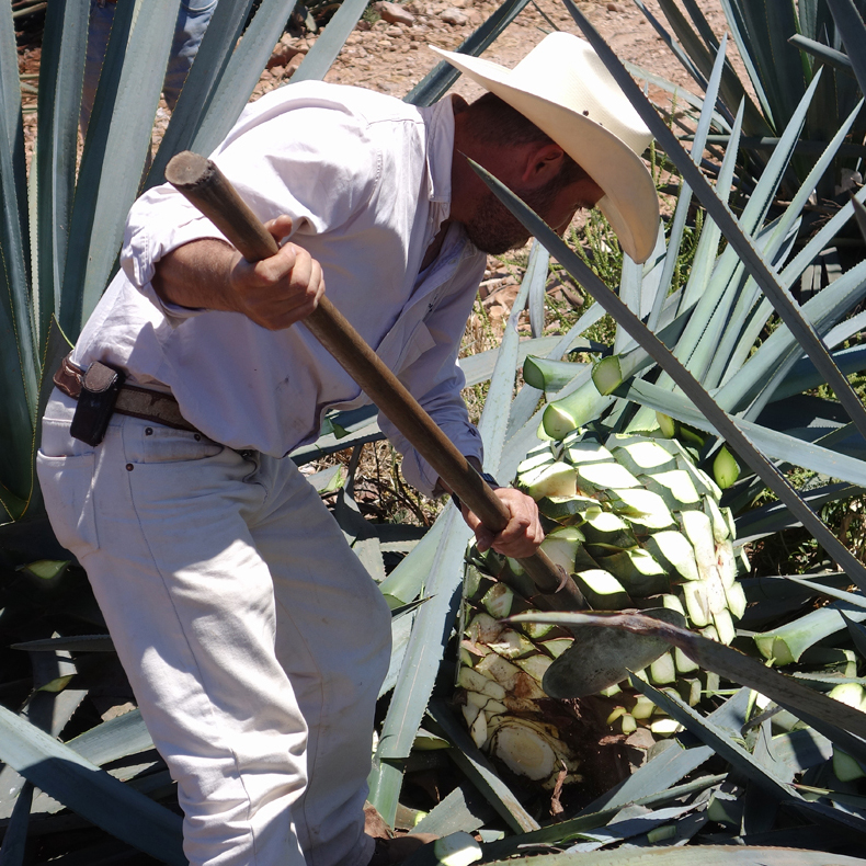 olmeca-altos-tequila-thumb-123525