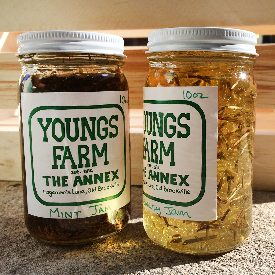 youngs-farm-jams-project8-thumb-125414