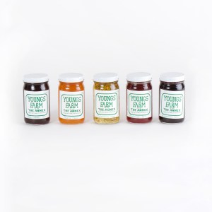youngs-farms-jams-gg-125894