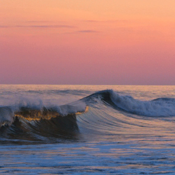 zak-bush-revisions-thumbs-125206