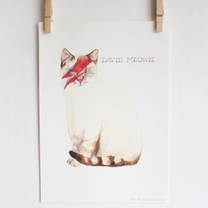 david-meowie-mr-peebles-127221