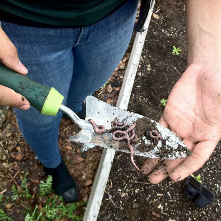 farm-in-the-sky-thumb-128566