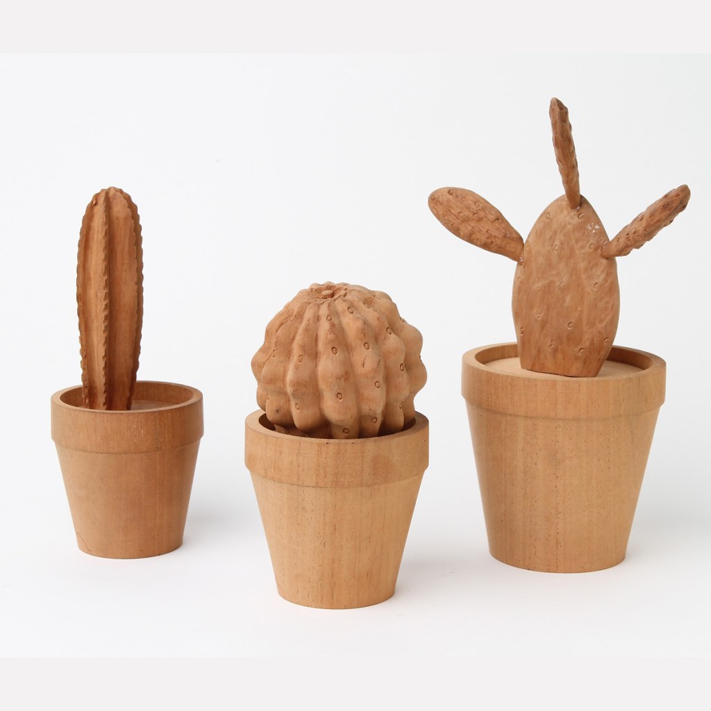 matt-austin-cacti-127853